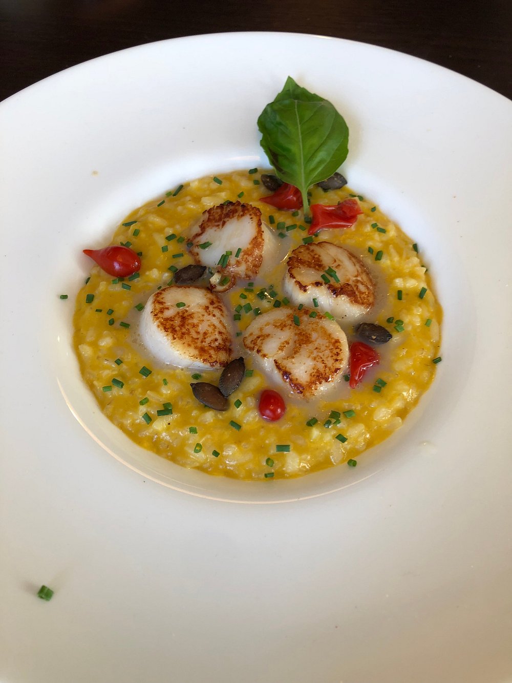 Risotto au safran et coquilles Saint-Jacques poêlées, dressé avec une feuille de basilic.